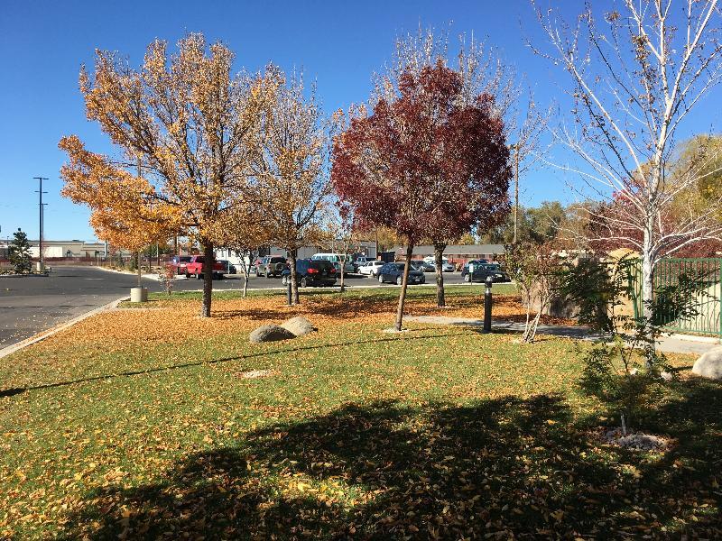 Holiday Inn Express Fallon By Ihg Exterior foto